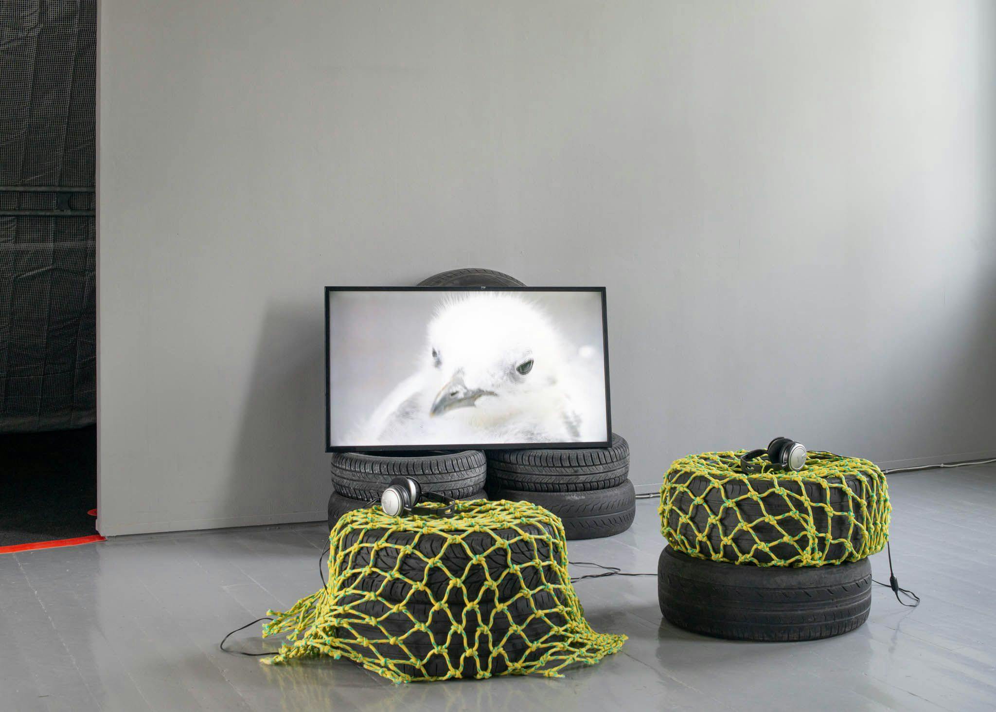 A TV screen shows a baby gull behind two seats made from tyres and yellow netting.