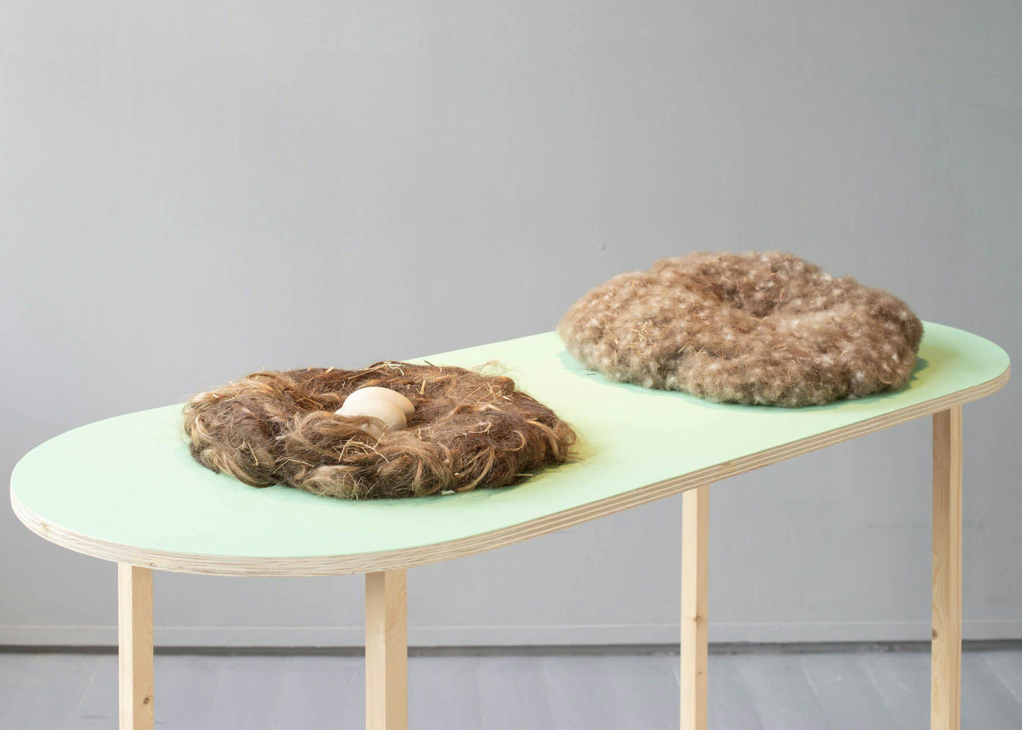 A minimalist mint-green table supports two nests made from down and feathers.
