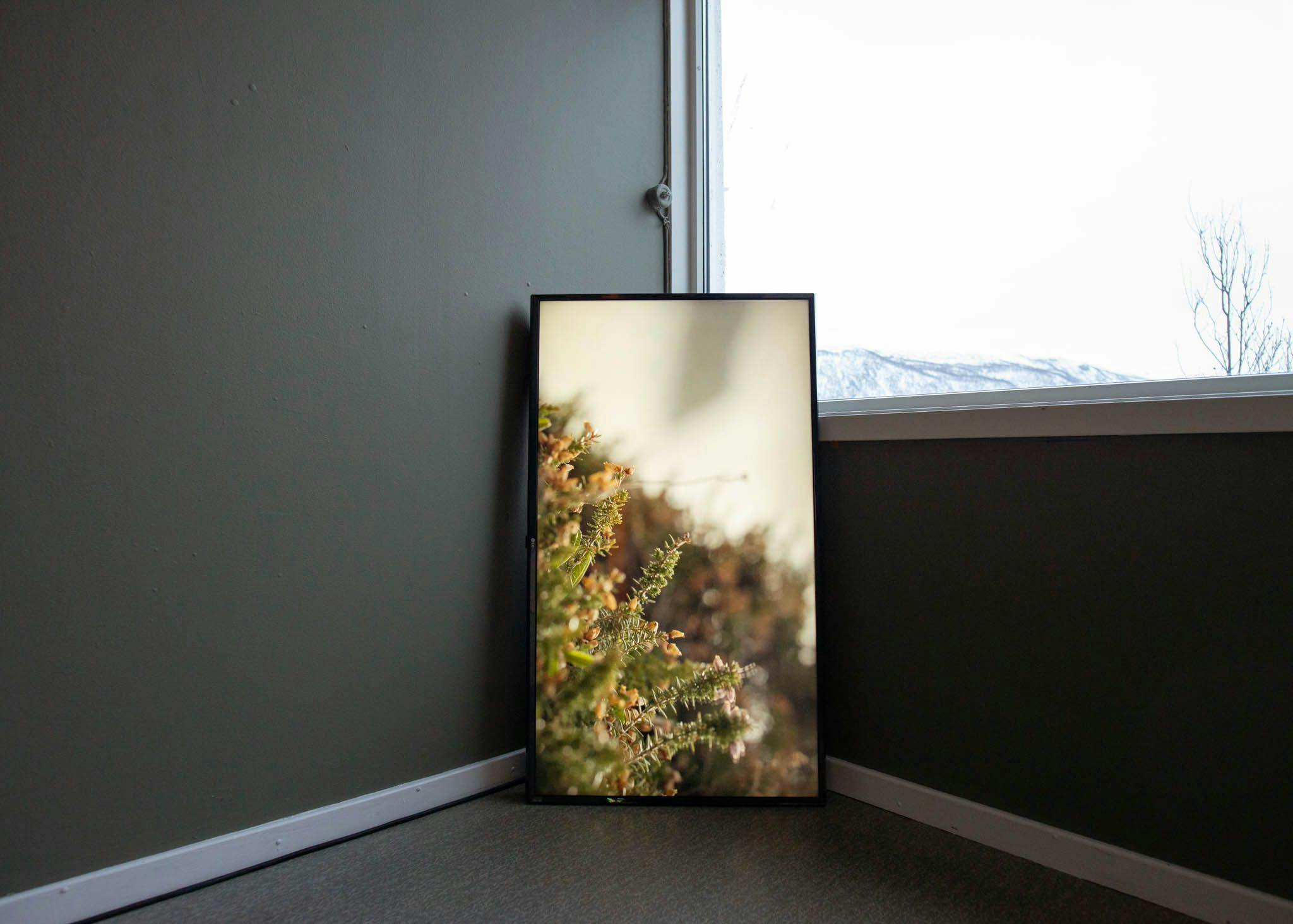 A vertical TV leans in the corner between a wall and a window. The TV displays heather.