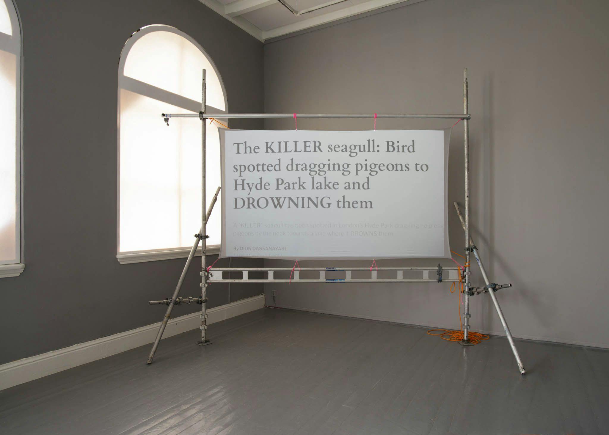 Scaffolding creates a frame for a projection screen. On the screen reads 'The KILLER seagull. Bird spotted dragging pigeons to Hyde Park lake and DROWNING them' 